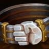 GiantsBelt