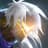 Varus